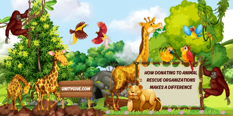 How Donating to Animal Rescue Organizations Makes a Difference